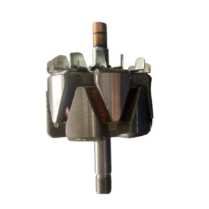 Rotor Alternador Bosch 24V 80Amp Ford Cargo Iveco Stralys