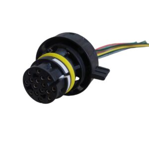 Conector Digital Caja Eddie Bauer